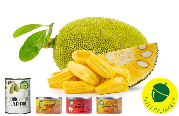 hvad er jackfruit