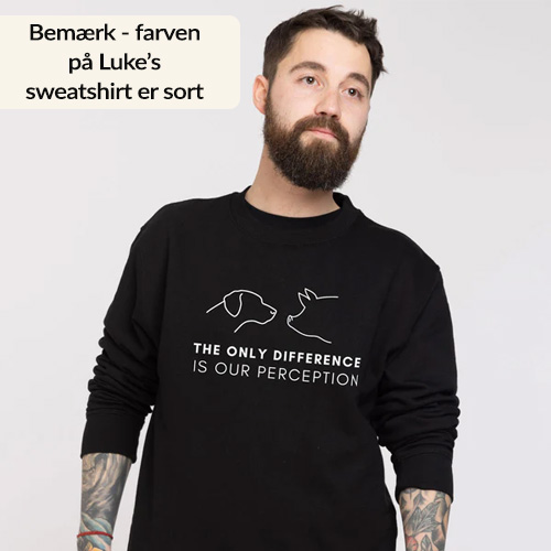Vegansk-tøj---Sweatshirt-med-statement---Vegan-outfitters danmark.jpg